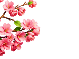 Pink cherry blossom branches frame on transparent background.Generative AI. png