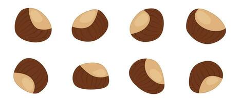 Drawn cartoon brown autumn chestnut without background. Vector illustration.