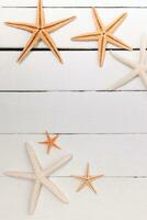 estrella de mar en blanco madera foto
