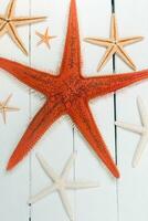 starfish on white wood photo