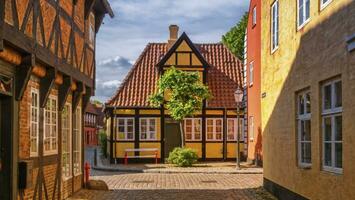 calle y casas en costilla ciudad, Dinamarca foto