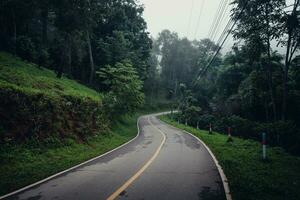 road and trees in the morning photo