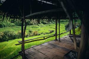 Rice fields and wooden hut balcony photo