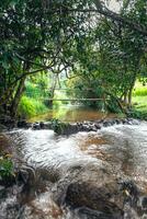 agua corriente en el arroz campos foto