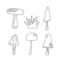 Mushrooms, toadstools set seasonal Halloween vector illustration of inedible fairy mushrooms autumn holidays simple minimalist hand drawn doodle style drawing