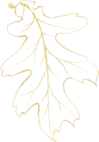Seasonal leaf of golden luxury illustration png