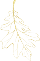 Seasonal leaf of golden luxury illustration png