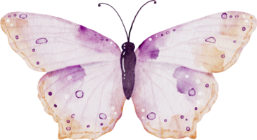 Purple butterfly watercolor painting png