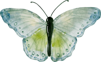 Green earth tones butterfly watercolor painting png