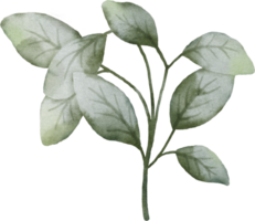 waterverf groen bladeren element png