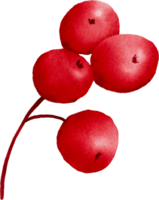 Natale frutti di bosco acquerello png