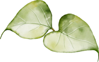 Lilac leaf element with watercolor png