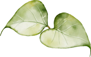 lila hoja elemento con acuarela png