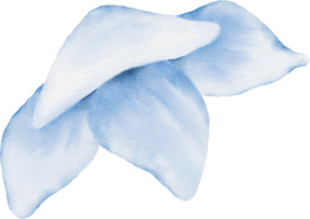 elemento de aquarela de flores png