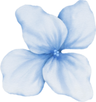 elemento de aquarela de flores png