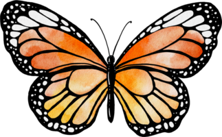 Yellow orange butterfly watercolor painting png