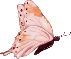 Pink butterfly watercolor painting png