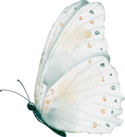 Soft color butterfly watercolor painting png