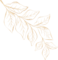 feuille de d'or luxe illustration png