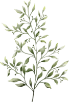 acuarela verde hojas elemento png