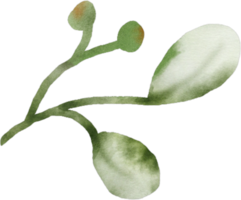 Aquarell Grün Blätter Element png