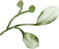 waterverf groen bladeren element png