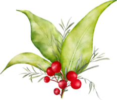 Weihnachten Aquarell von Beeren und Blätter png