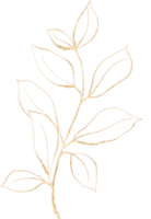 Leaf of golden luxury illustration png