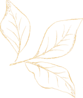 feuille de d'or luxe illustration png