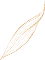 feuille de d'or luxe illustration png