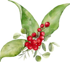 Christmas watercolor of berries and leaves png