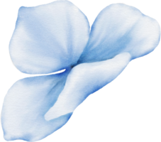 flor acuarela elemento png