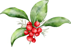 Christmas watercolor of berries and leaves png