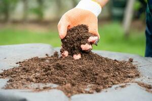 Hand holding peat moss organic matter improve soil for agriculture organic plant growing, ecology concept. photo