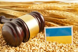 granos de trigo con bandera de ucrania, exportación comercial y concepto económico. foto