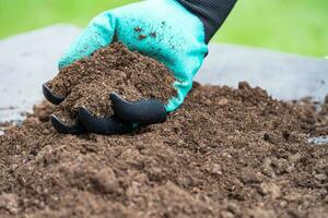 Hand holding peat moss organic matter improve soil for agriculture organic plant growing, ecology concept. photo