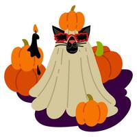 Cat in a sheet for Halloween with a pumpkin on his head and against a background of pumpkins. A black cat with spider-shaped glasses. Flat vector illustration on white. Costume for a cat with glasses