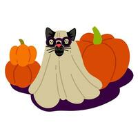 Cat in a sheet and glasses on Halloween against a background of pumpkins. A black cat with glasses with skull drawings. The cat sees death. Flat vector illustration on white. Costume cat with glasses