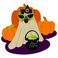 Cat in a sheet for Halloween with witch elements on a pumpkin background. A witch's hat and a cauldron with a potion, glasses burning candles. Flat vector illustration on white. Costume cat, glasses