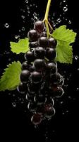 AI Generative a photo of blackcurrant