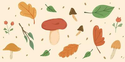 Atmospheric set of autumn leaves and mushrooms, isolated on light background vector