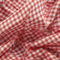 AI Generative red and white checkered fabric photo