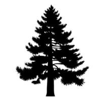 Pine or Fir tree silhouette. Vector illustration