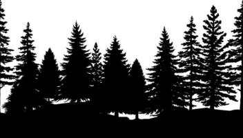 Pine trees forest silhouette. Seamless border. vector illustration