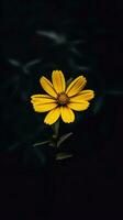 AI Generative single yellow flower in a dark photo