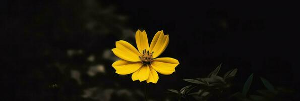 ai generativo soltero amarillo flor en un oscuro foto