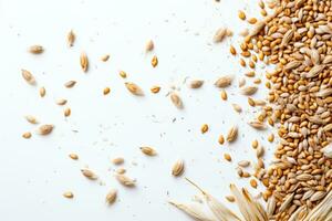 Barley grains scattered on a white table. Healthy food, grains photo