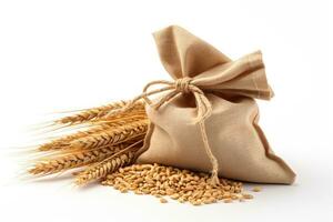 Sack of wheat and ears of wheat on a white background. Quality products, healthy eating photo