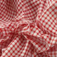 AI Generative red and white checkered fabric photo