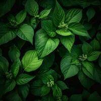 AI Generative green nature leaves photo